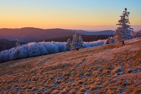Snow-covered landscape with trees in evening light and peaceful sunset, winter, Route de Cretes,