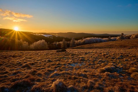 Golden sunlight gently bathes a frosty hilly landscape in warmth, winter, Route de Cretes, Hohneck,