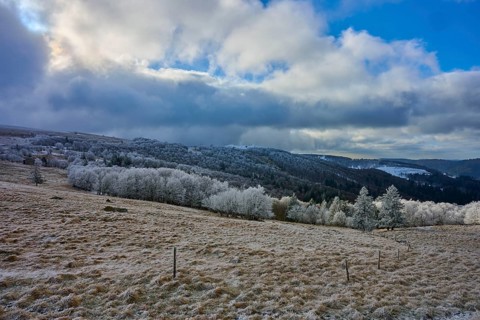 Wintery landscape with snow-covered trees and dramatically cloudy sky, winter, Route de Cretes,