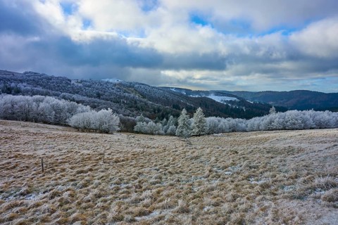 Snowy hills and trees under a cloudy winter sky, winter, Route de Cretes, Hohneck, La Bresse,