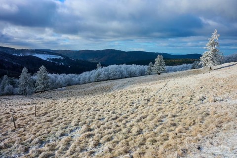 Winter hilly landscape with snow-covered trees and cloudy sky, winter, Route de Cretes, Hohneck, La