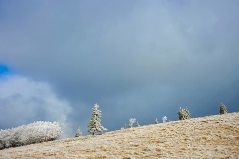 Snow-covered trees under a dramatically dark winter sky, winter, Route de Cretes, Hohneck, La