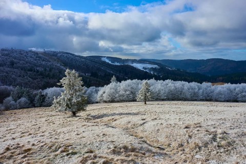 Winter landscape with snow-covered trees and mountains under blue sky, winter, Route de Cretes,