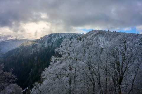 Snowy trees against a gloomy sky in a wintry mountain landscape, winter, Col de la Schlucht, Le