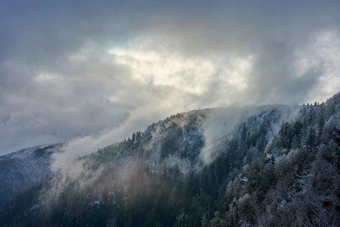 Snowy hills in fog and frosty forest under overcast sky, winter, Col de la Schlucht, Le Valtin,