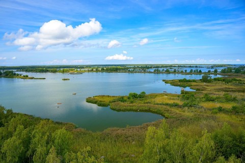 View of a green lagoon in the Gulf of Bothnia from the Saltkaret Norra Vallgrund observation tower