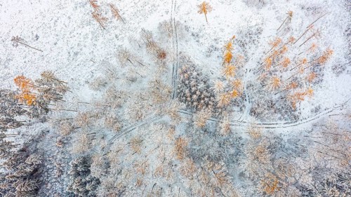 Hankenberge, Hilter am Teutoburger Wald, Lower Saxony, Germany, Bird's eye view of snow-covered