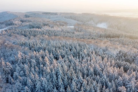 Hankenberge, Hilter am Teutoburger Wald, Lower Saxony, Germany, snowy forest at sunrise, a quiet
