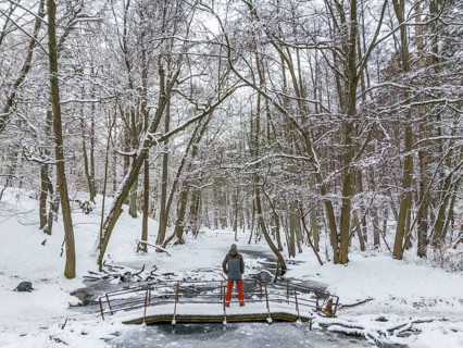 Aerial view, drone photo: Man hiking standing on a bridge over the Briese river in the forest in