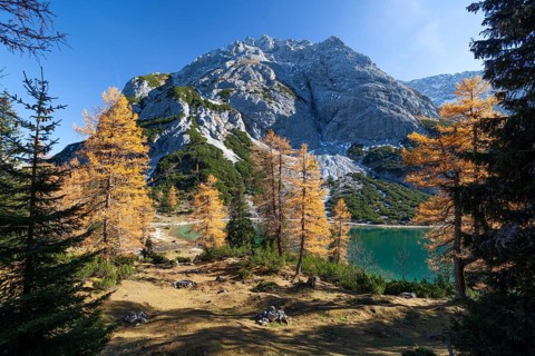 Seebensee in autumn, Tajakopf, Alps, Tyrol, Austria