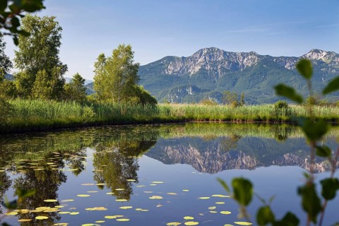 Höllsee with Herzogstand and Heimgarten, moor, pond, Loisach Lake Kochel moss, Upper Bavaria,