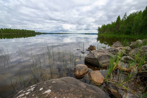 Rocks and reeds on quiet lakeside under a cloudy sky, Lapland, Finland