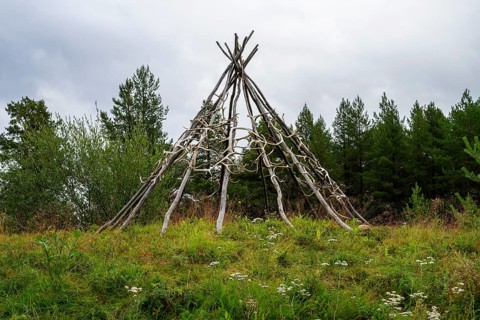 Rustic wooden structure made from birch trunks and reindeer antlers in a natural setting with trees