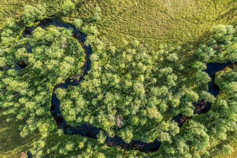Sodankylä, Lapland, Finland, aerial view of a curvy river surrounded by trees and lush greenery,