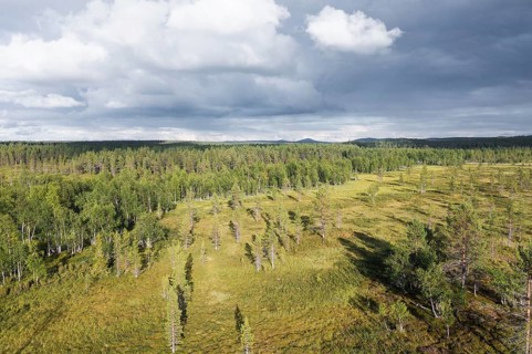 Sodankylä, Lapland, Finland, cloud-covered sky over a vast forest and meadow landscape with light