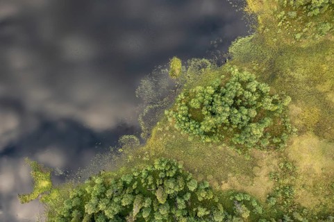 Sodankylä, Lapland, Finland, aerial view of dense vegetation and calm water with cloud shadows,