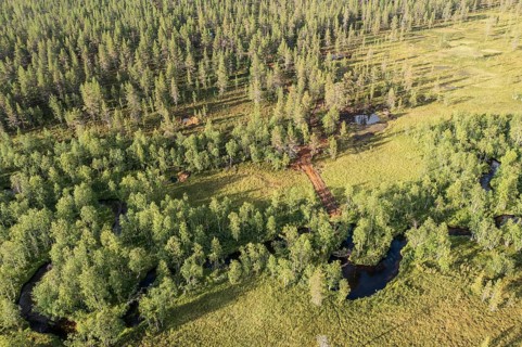 Sodankylä, Lapland, Finland, view from above of a forest with a river and meadows, characterized by