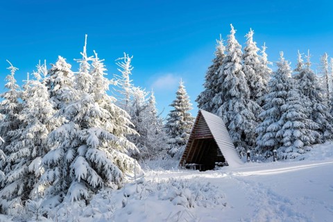 Typical triangular wooden shelter in front of a snow-covered coniferous forest under a clear blue