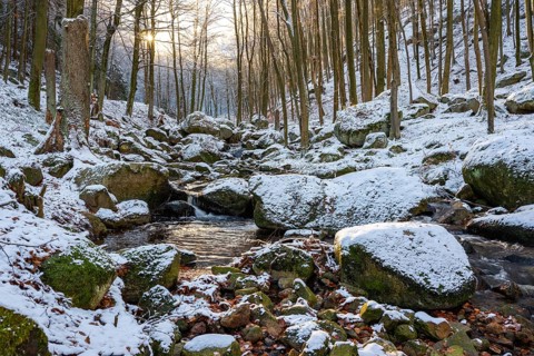 Gumpe with snow and moss-covered rocks in wintery Ilse Valley, Heinrich-Heine-Weg, Harz National