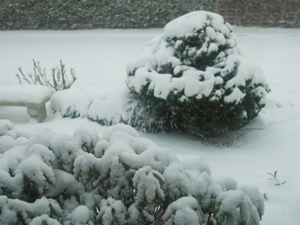 Snow crystals, thick masses of snow outside the window, local garden, snow-covered winter