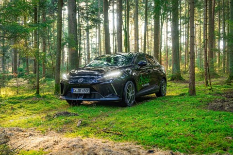 Car in a sun-drenched forest surrounded by trees and green moss, MG4 electric car, Deer