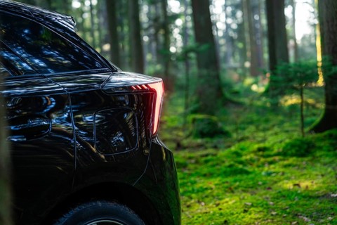 Rear light of a car in a thick forest with incoming sunlight, MG4 electric car, Deer E- Carsharing,