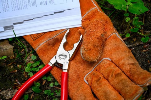 Münsterland, North Rhine-Westphalia, Germany, tools for ringing owls Safety gloves and pliers are