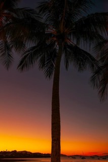 Evening sun set at Cairns Esplanade with glowing sky and palms by the bay, Cairns, Queensland,