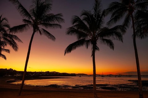 Evening sun set at Cairns Esplanade with glowing sky and palms by the bay, Cairns, Queensland,