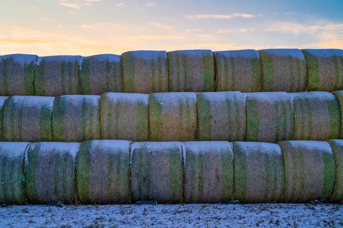 Straw bales stored in field, agriculture, Schmidener Feld, cold, winter, wintery, Schmiden near