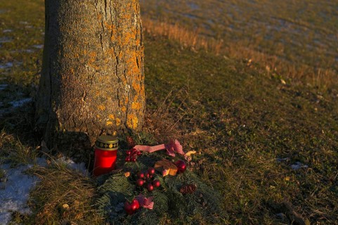 Candle, grave candle and grave decoration on tree grave, tree trunk, main cemetery, evening light,