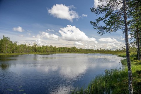 A calm lake with a wooded shore under a sky full of clouds, Hamra National Park, Hamra, Dalarna,