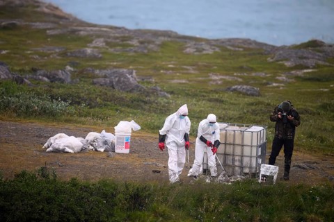 People in protective suits placing dead birds in containers in a coastal landscape, photographer