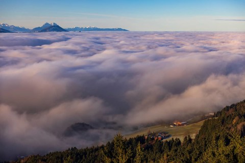 Agricultural landscape with farms rising out of a sea of fog, inversion weather, Mondseeland,