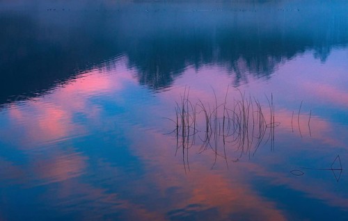 Quiet evening mood at the lake with reeds in the foreground and colorful sunset, Mondsee,