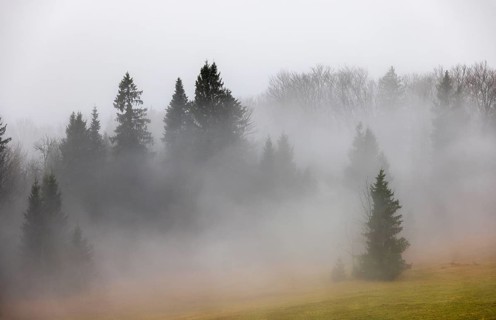 Sunset with clouds of fog in the forest, inversion weather, Mondseeland, Salzkammergut, Upper
