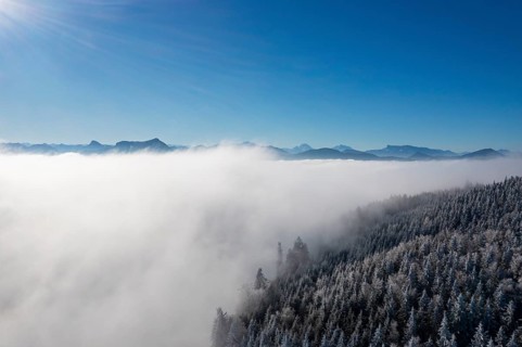 Drone view, snowy coniferous forest sticking out of fog, inversion weather, Mondseeland,
