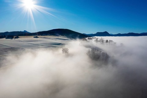 Drone view, agricultural landscape with trees in autumn morning fog at sunrise, inversion weather,