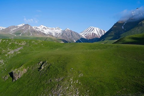 Green meadows and snow-capped mountains under clear sky, calm and majestic landscape, landscape
