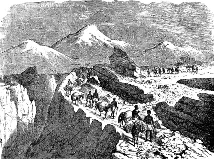 Caravan train on the Inca Strait in the Andes, mountains, snow-capped peaks, gorge, caravan, pack