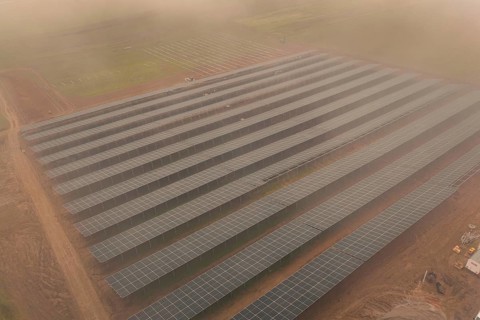 Dense rows of solar panels on foggy field, clear lines and structure, energy revolution,