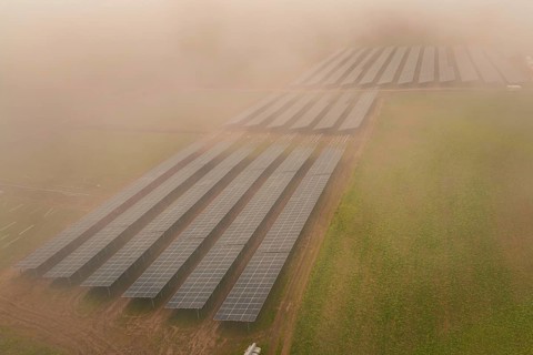 Rows of solar panels spread over foggy field, focus on renewable energy, energy transition,