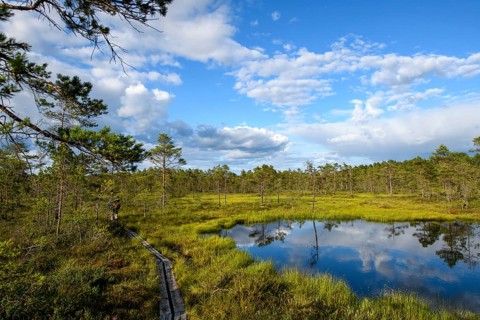A moor lake with clear sky, clouds and wooden plank path in Hammarmoosen moor, Hällefors, Örebro