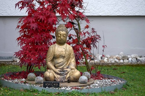 Gold-colored Buddha figure in a front garden, Franconia, Bavaria, Germany