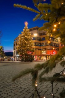 Christmas tree at night, festively lit, in front of a commercial building, Nagold, Calw district,