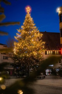 Large illuminated Christmas tree with glowing star in a twilight town, Nagold, Calw district, Black