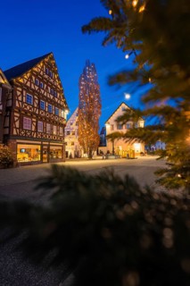 Illuminated half-timbered houses and a tall tree in a nighttime urban landscape, Nagold, Calw