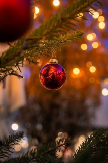 Red ball on a pine branch with reflection, against a glowing background, Nagold, Calw district,