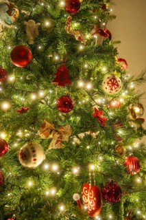 Christmas tree with red balls and lights, festive glow in warm light, Nagold, Calw district, Black