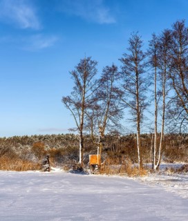 Winter landscape, fields and fields in Berlin Lübars, a village in Berlin Reinickendorf, Germany